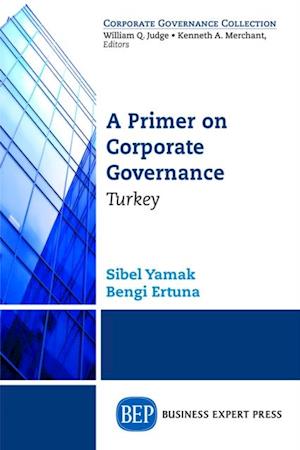 Primer on Corporate Governance