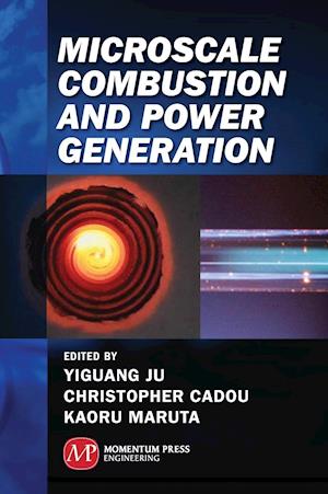Microscale Combustion and Power Generation