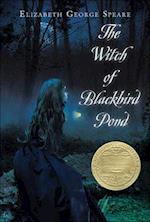 Witch of Blackbird Pond