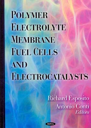 Polymer Electrolyte Membrane Fuel Cells & Electrocatalysts