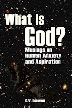 What Is God? Musings on Human Anxiety and Aspirations