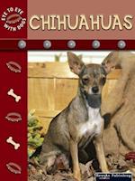 Chihuahuas