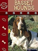 Basset Hounds