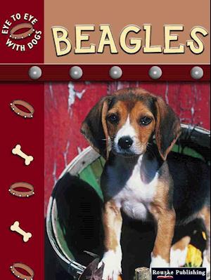 Beagles