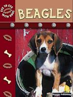 Beagles