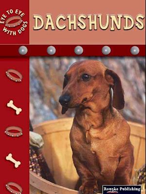 Dachshunds