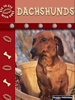 Dachshunds