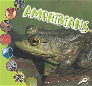 Amphibians