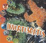 Invertebrates