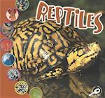 Reptiles