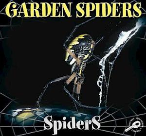 Garden Spiders