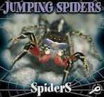 Jumping Spiders