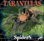 Tarantulas