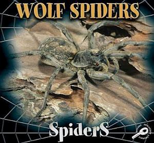 Wolf Spiders