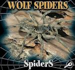 Wolf Spiders