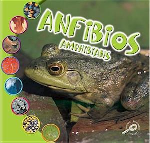 Anfibios