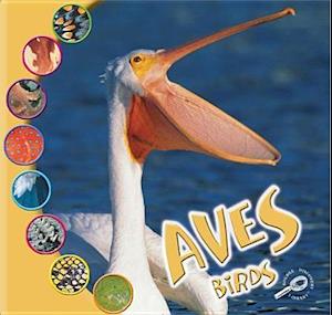 Aves