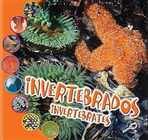 Invertebrados