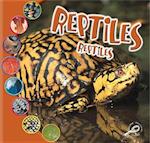 Reptiles