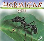 Hormigas