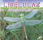 Libelulas