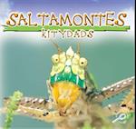 Saltamontes