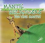 Mantis Religiosas