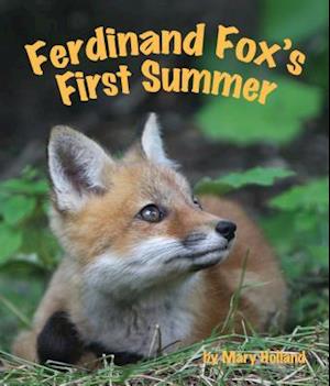 Ferdinand Fox's First Summer