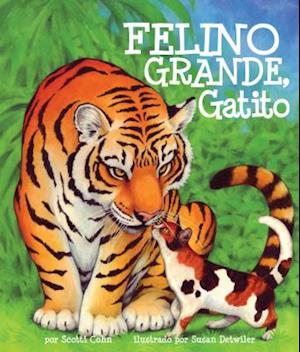 Felino Grande, Gatito = Big Cat, Little Kitty