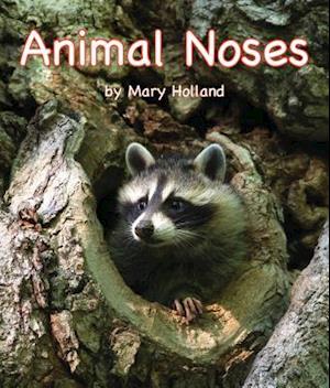 Animal Noses