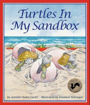 Turtles in My Sandbox