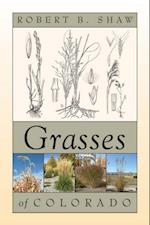 Grasses of Colorado