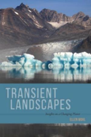 Transient Landscapes