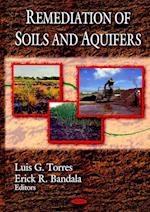 Remediation of Soils & Aquifers