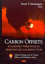 Carbon Offsets