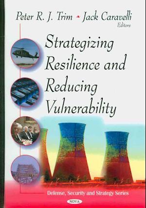 Strategizing Resilence & Reducing Vulnerability