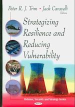 Strategizing Resilence & Reducing Vulnerability