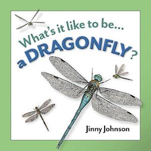 A Dragonfly?