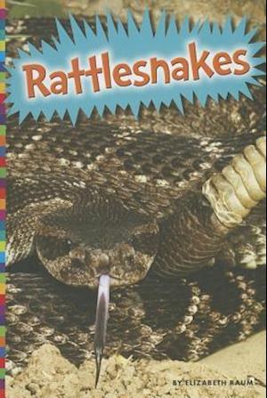 Rattlesnakes