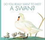 Do You Really Want to Meet a Swan?