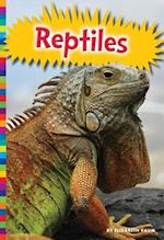 Reptiles