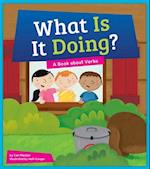 What Is It Doing? A Book about Verbs