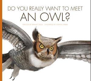 Do You Really Want to Meet an Owl?