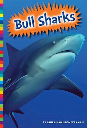 Bull Sharks