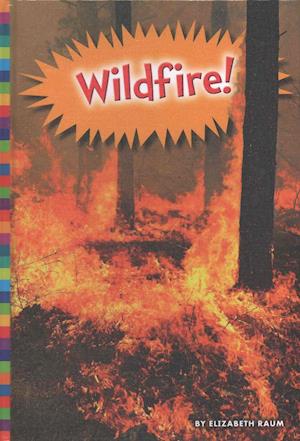 Wildfire!