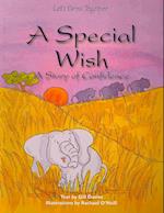 A Special Wish