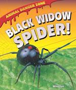 Black Widow Spider!