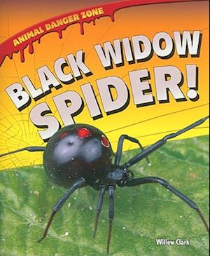 Black Widow Spider!