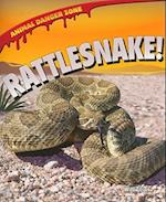 Rattlesnake!