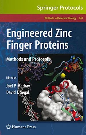 Engineered Zinc Finger Proteins